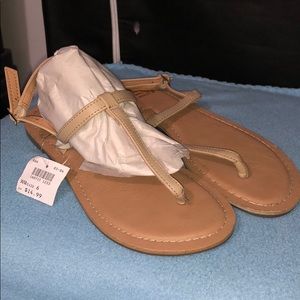 Women’s Sandals